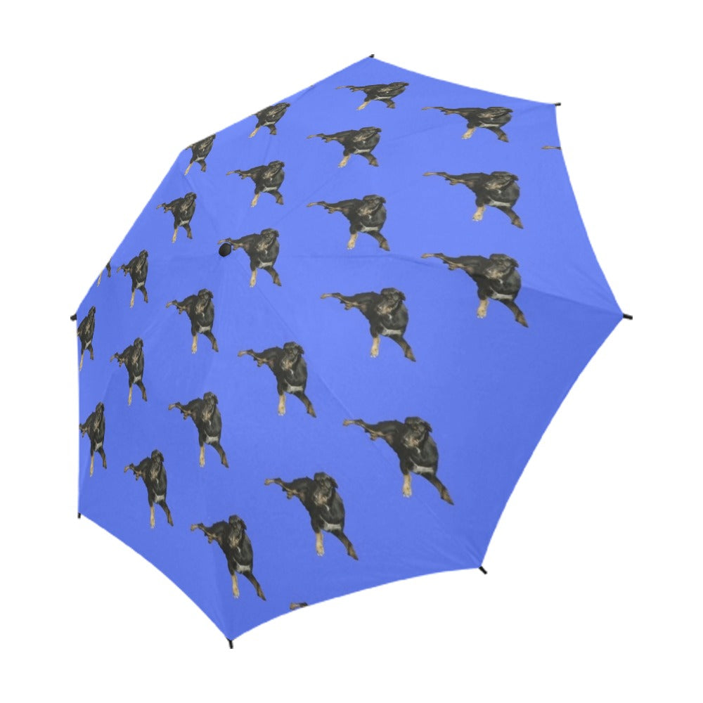 Irish Wolfhound/Kelpie Umbrella