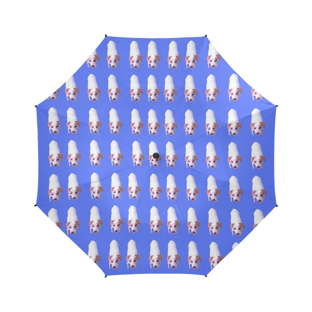 Karen's Dog Umbrella