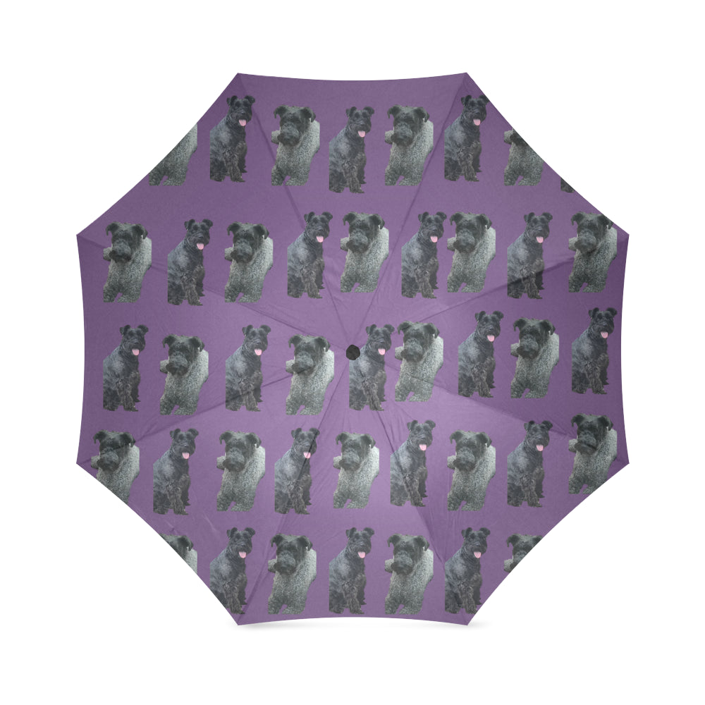 Kerry Blue Sherry Umbrella - Purple