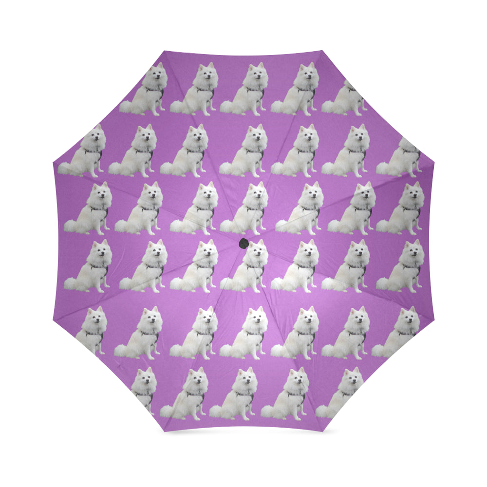 American Eskimo Umbrella