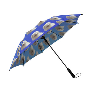 Bolognese Umbrella