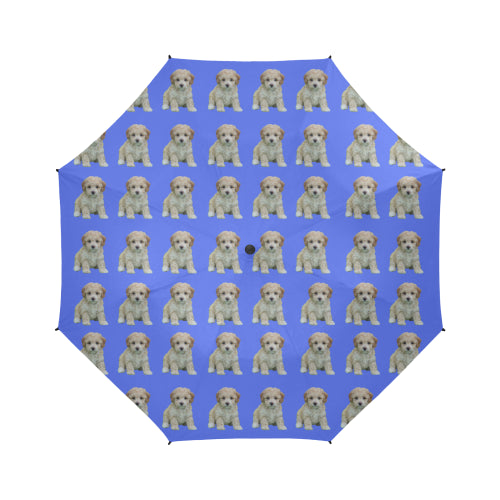 Toy Poodle Umbrella - Puppy