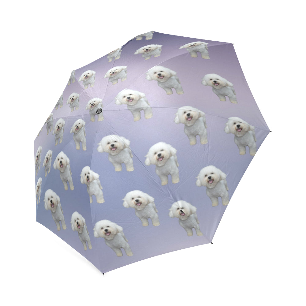 Bichon Frise Umbrellas