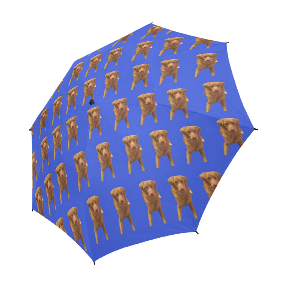 Kay&#39;s Dog Umbrella