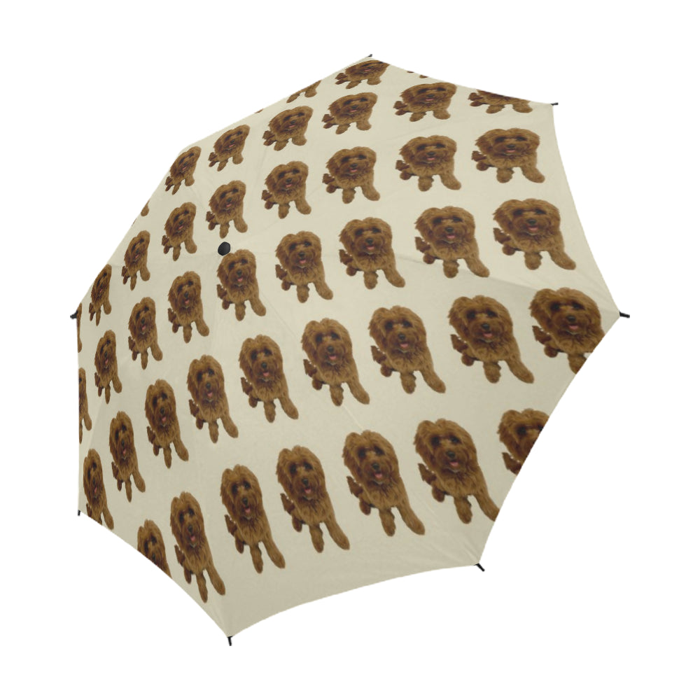 Cavapoo Umbrella - Peachie