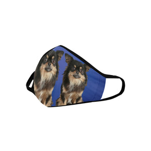 Chihuahua Cloth Face Cover