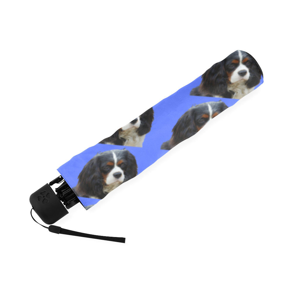 Cavalier King Charles Spaniel Umbrella - Tri