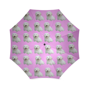 Coton De Tulear Umbrella
