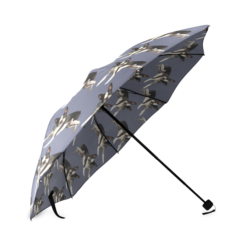 Boston Terrier Umbrella  - Blue