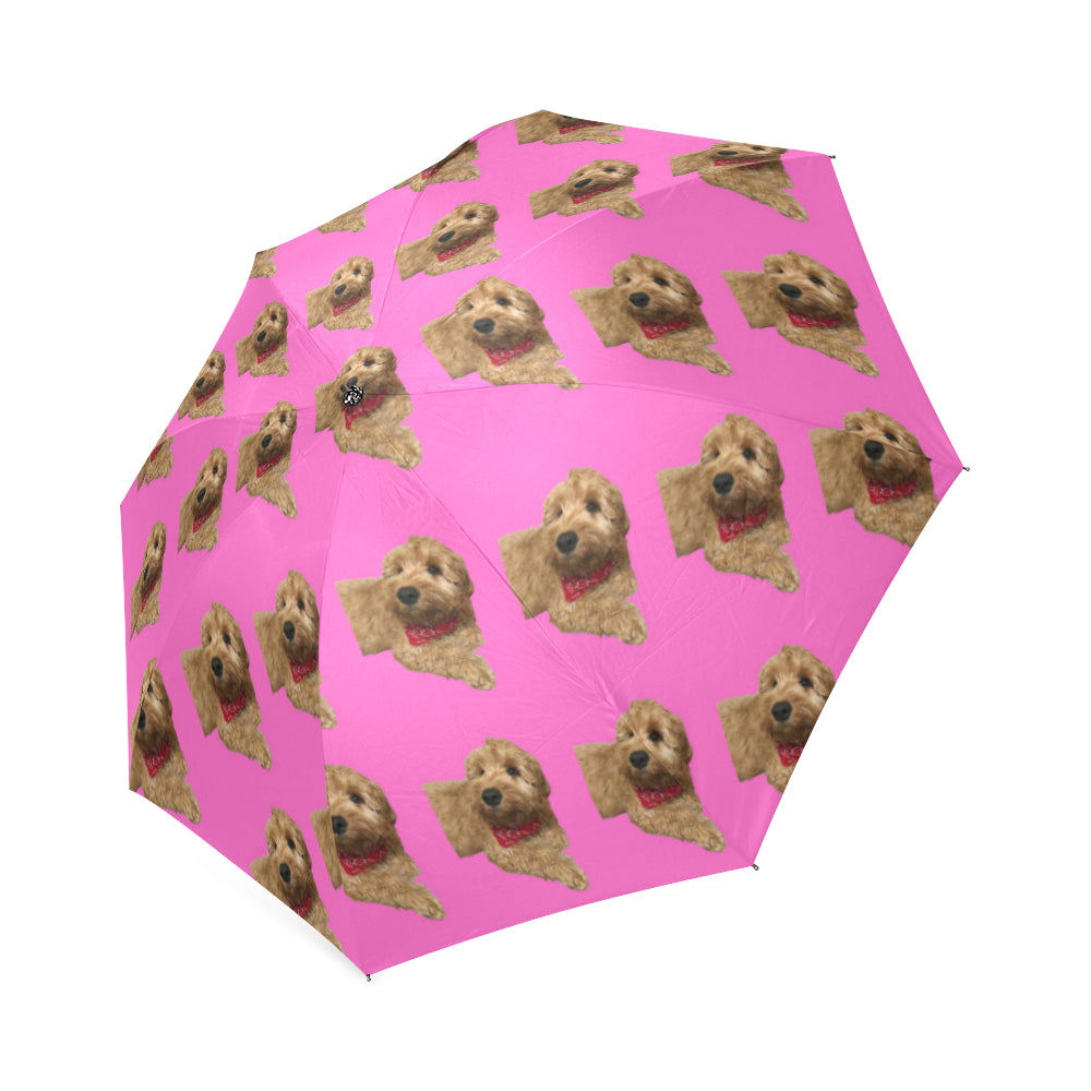 Cockapoo Umbrella - Pink