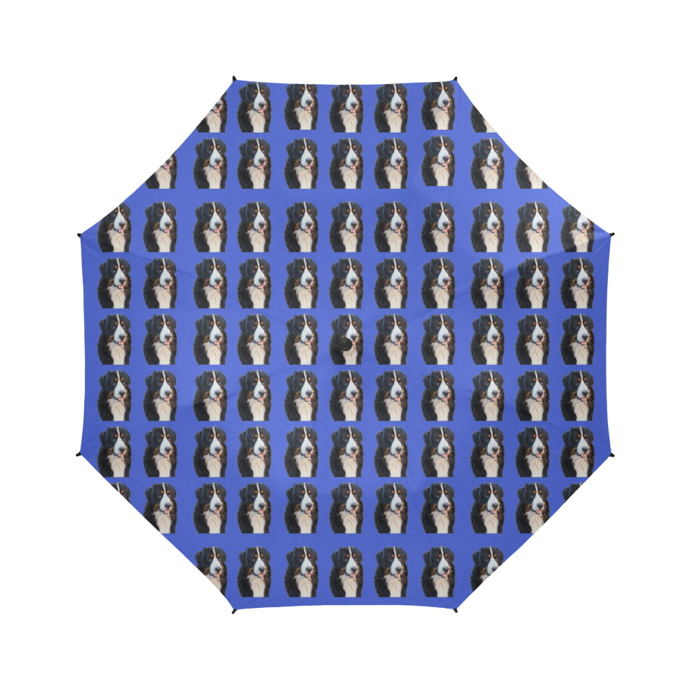 Bernese Mountain Dog Umbrella - Blue Semi Auto