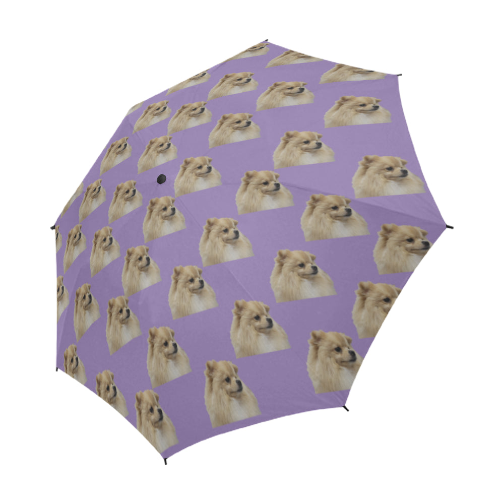 Pomeranian Umbrella - Lavender