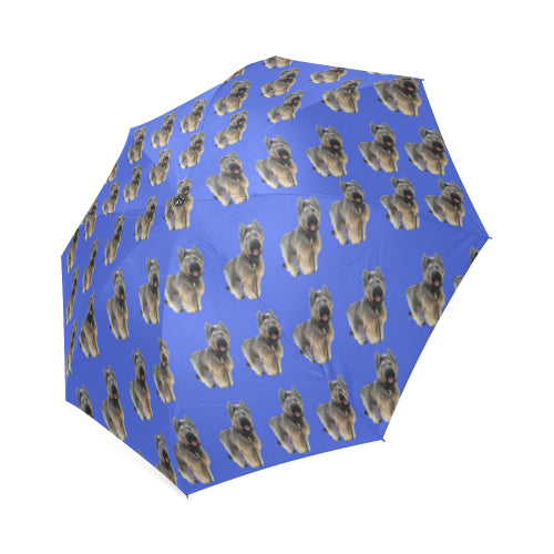 Briard Umbrella