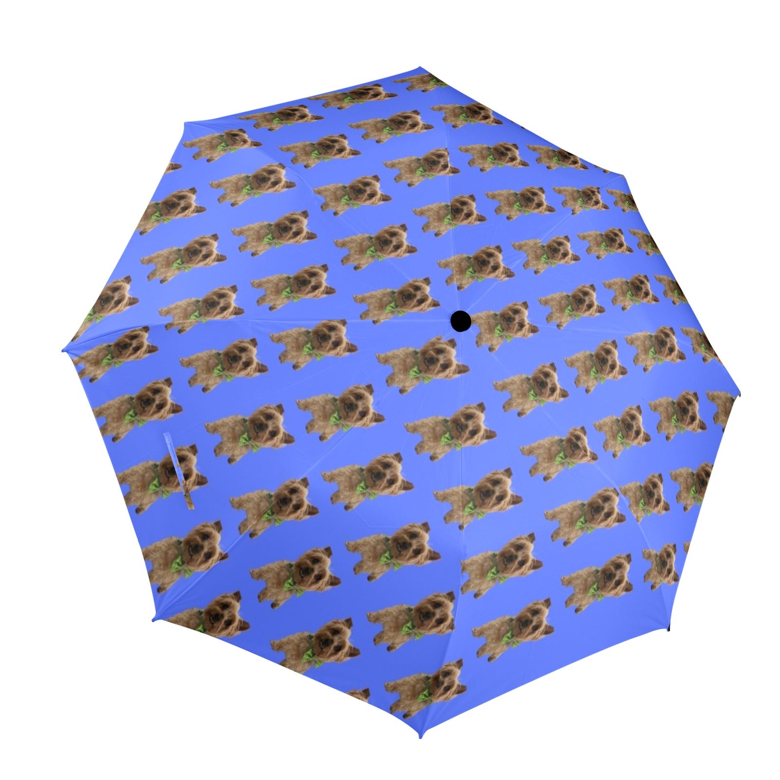 Linda's Dog Umbrella - Blue