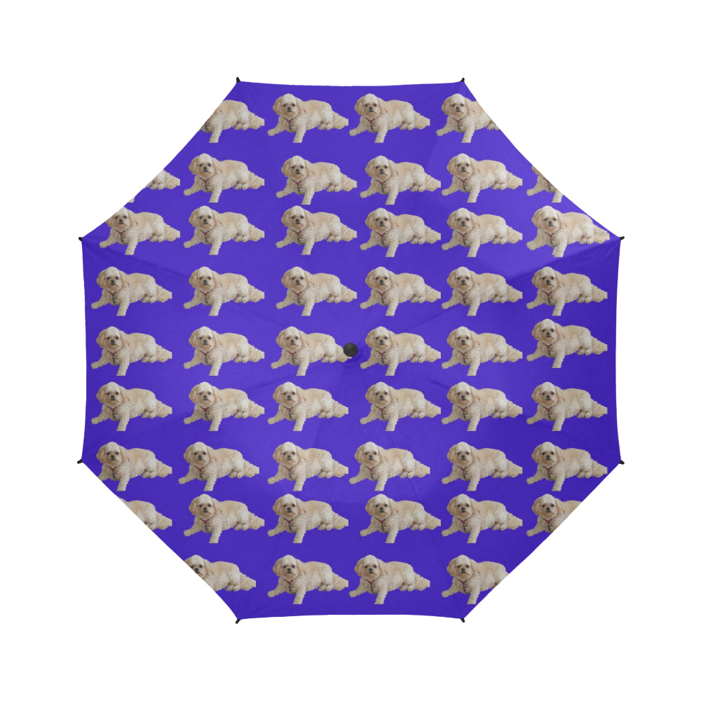 Pekapoo Umbrella - Semi Auto