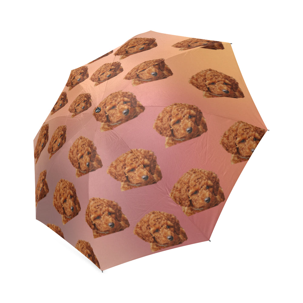 Toy Poodle Umbrella - Red-brown