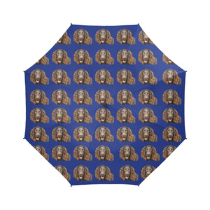 Boykin Spaniel Umbrella