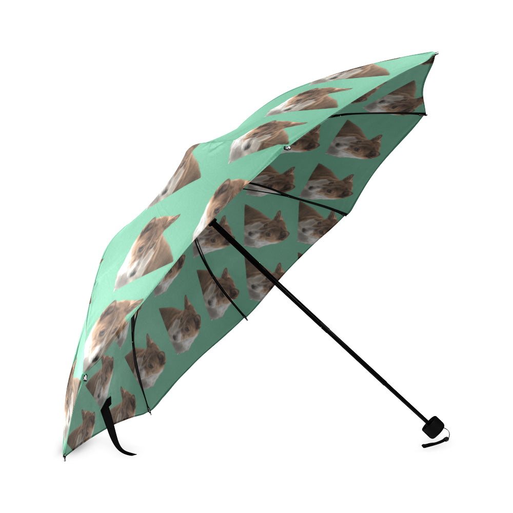 Basenji Umbrella