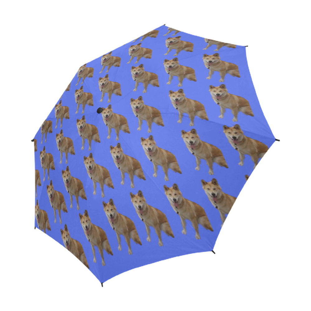 Dingo Umbrella