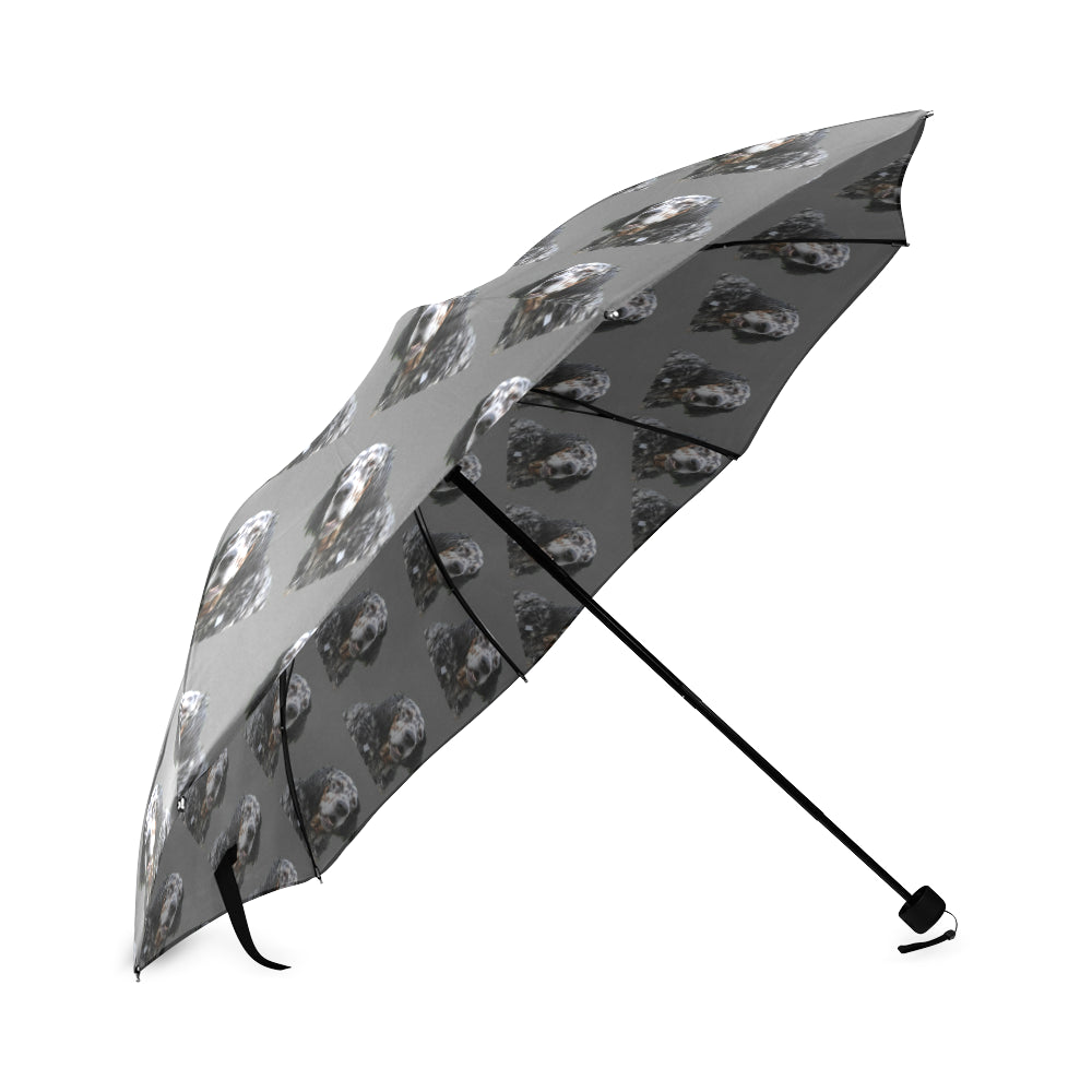 English Setter Umbrella