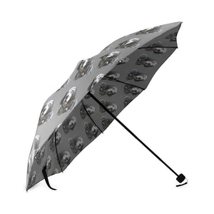 English Setter Umbrella