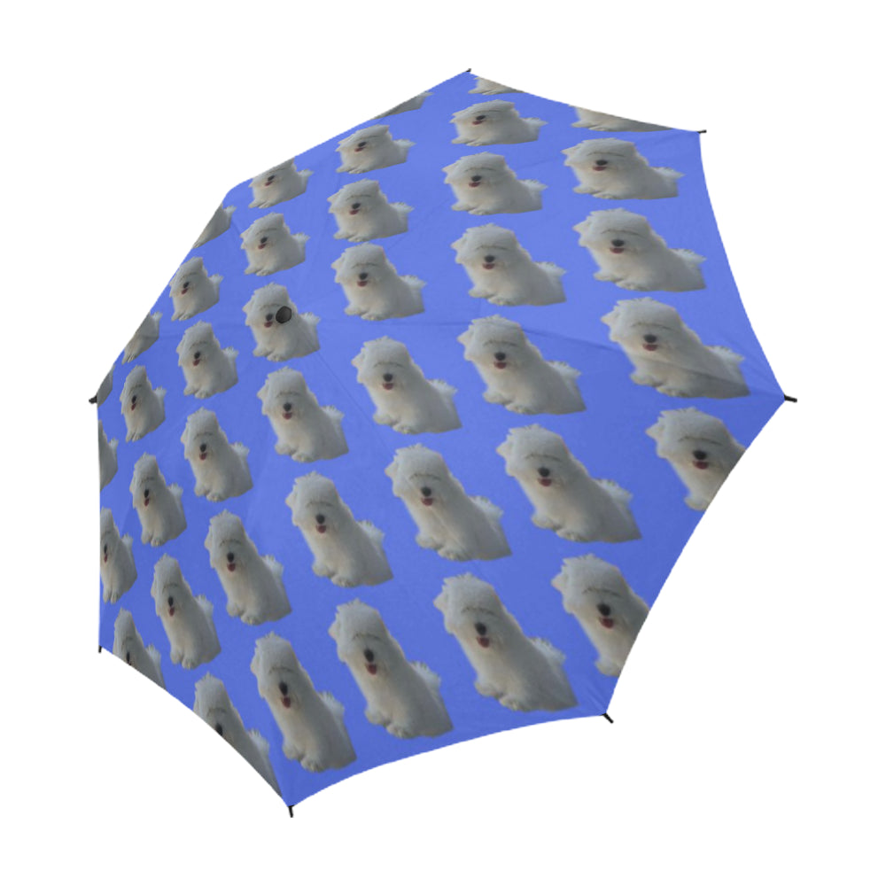 Coton de Tulear Umbrella - Prince Blue