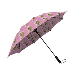 Maltese Umbrella - Shelby