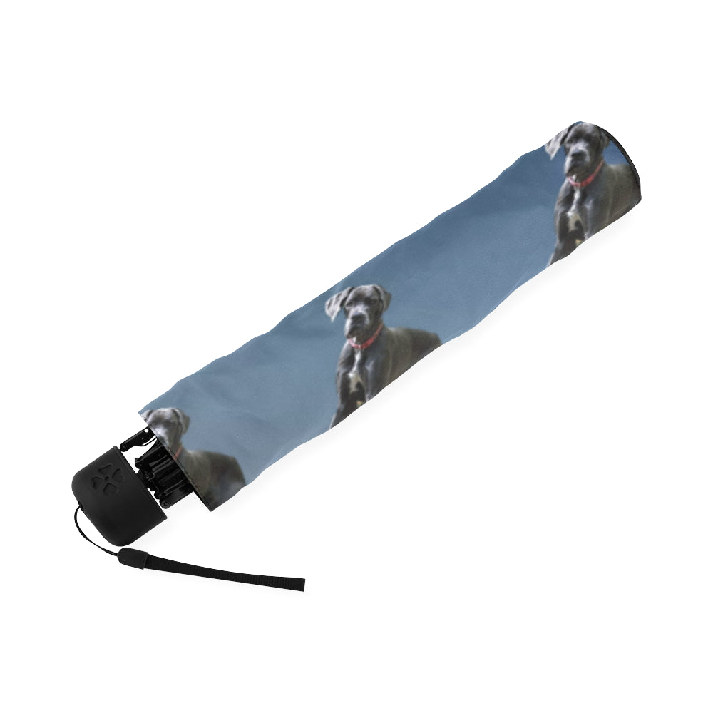 Great Dane Umbrella