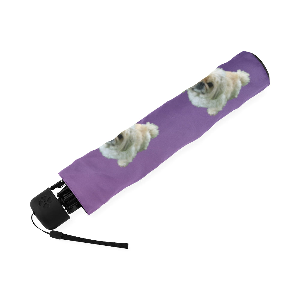 Pekingese Umbrella