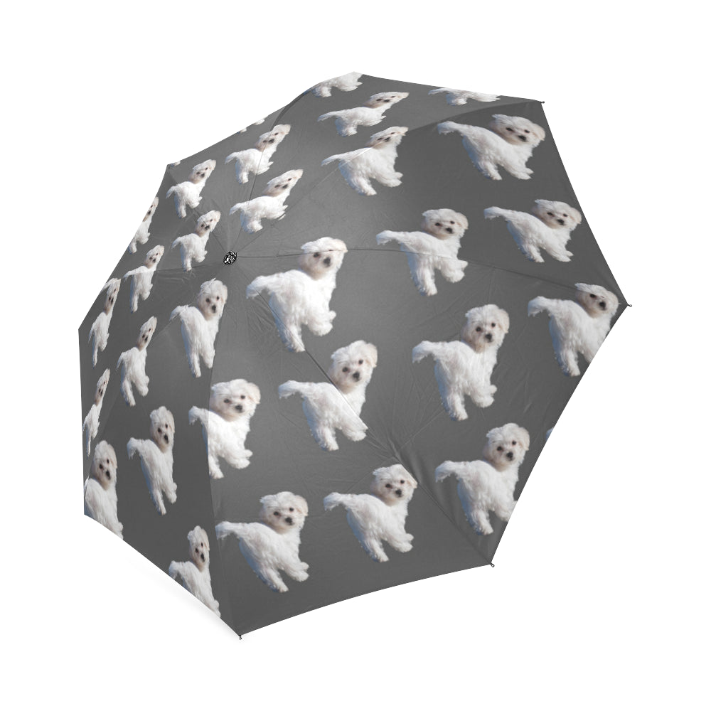 Maltese Umbrella - Grey