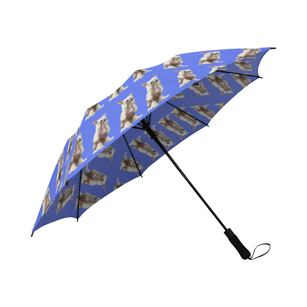 Chinese Crested Umbrella - Semi Automatic