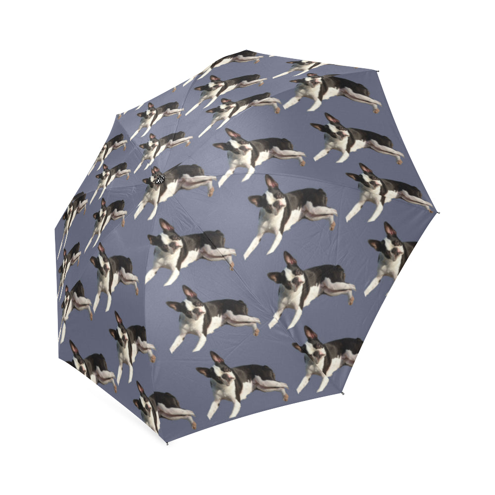 Boston Terrier Umbrella  - Blue