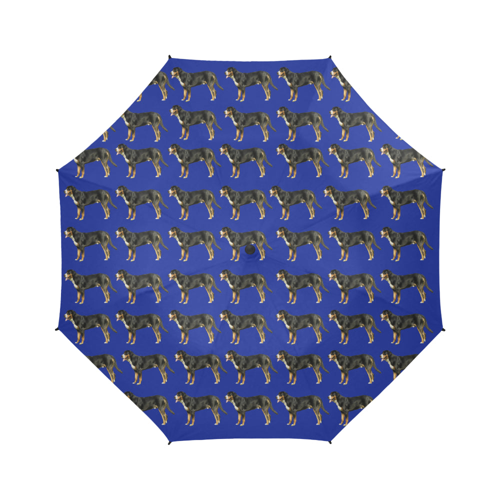 Swiss Mountain Dog Umbrella