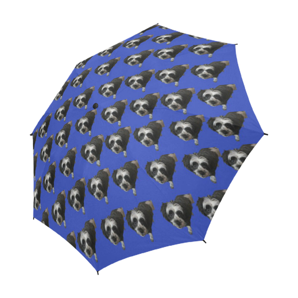 Maltipoo Umbrella - Black &amp; White Semi Auto