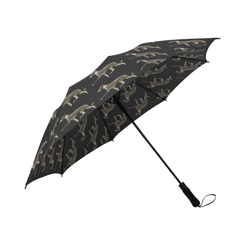 Greyhound umbrella store