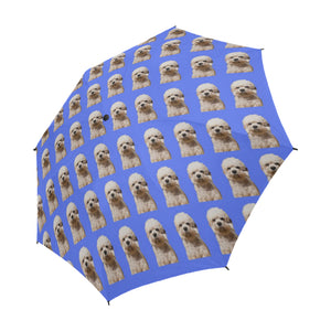 Dandie Dinmont Terrier Umbrella