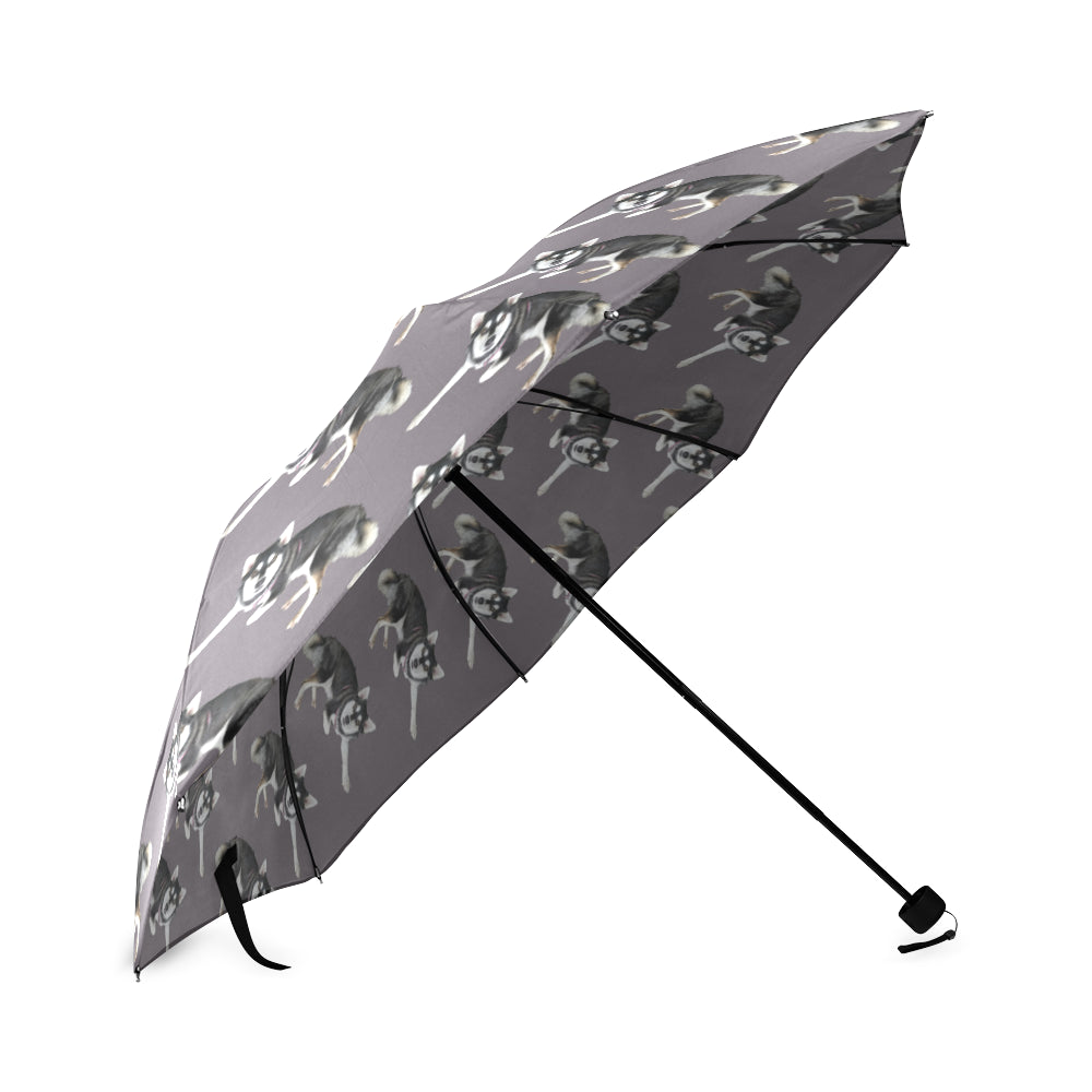 Alaskan Klee Kai Umbrella