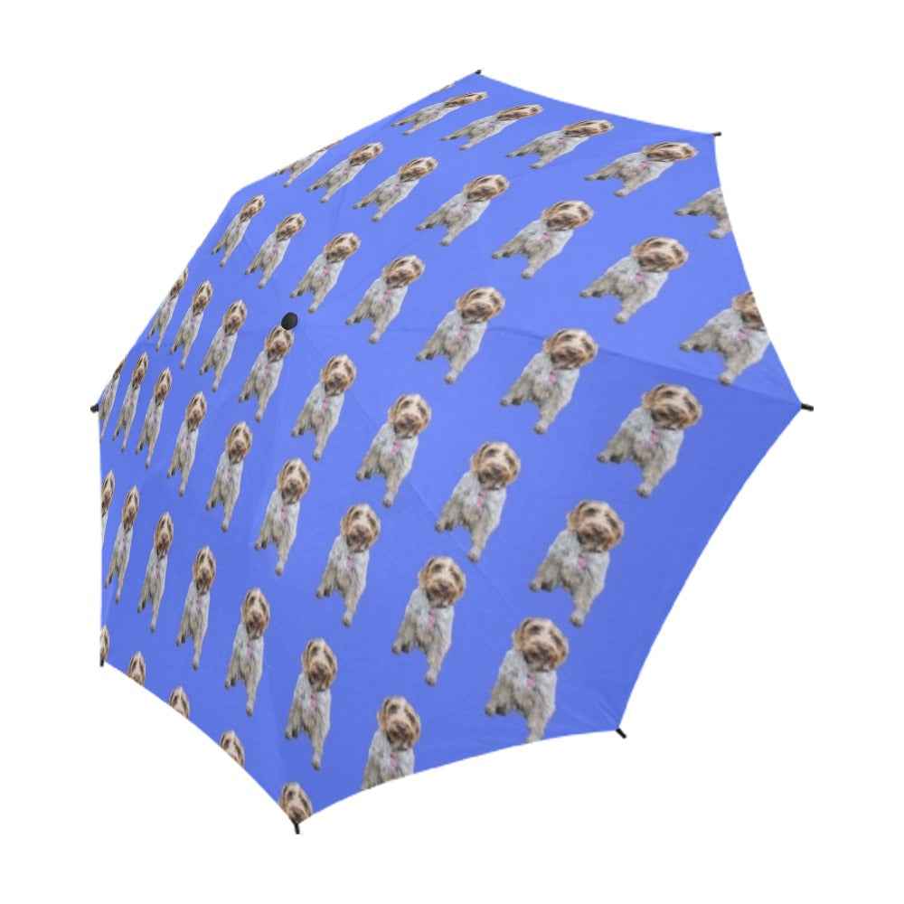 German Wired Hair Pointer Umbrella