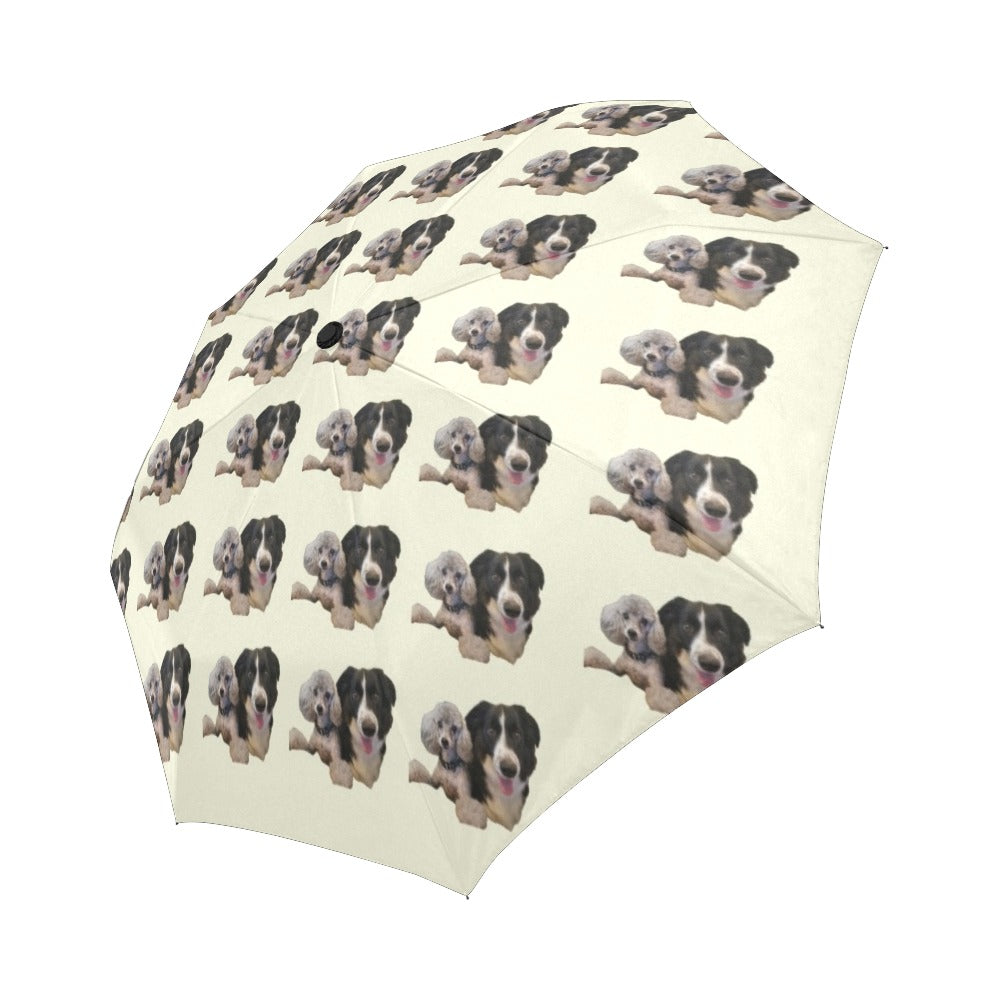 Border Collie &amp; Poodle Umbrella - Automatic Suzanna