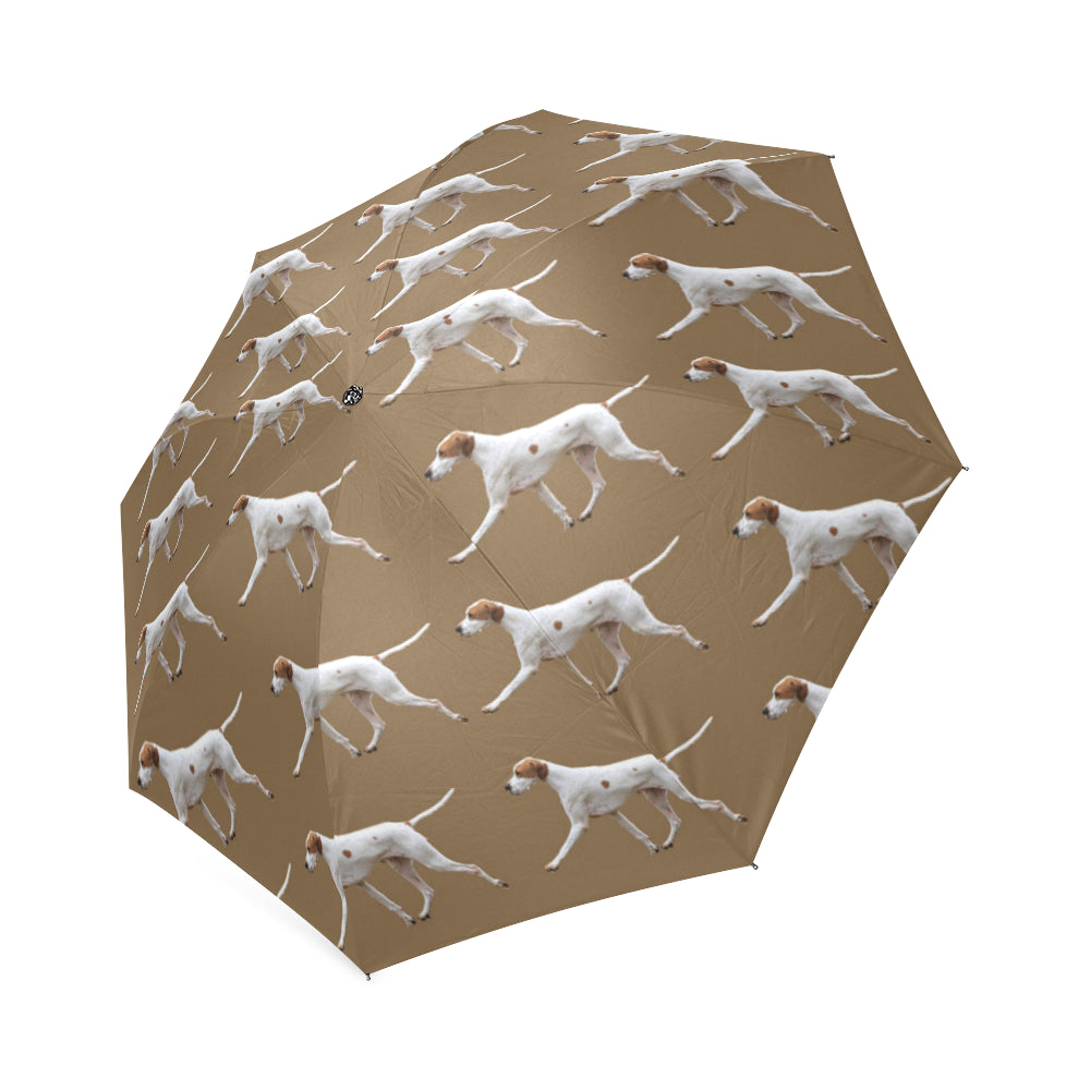 English Pointer Umbrella