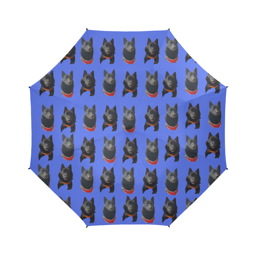 Schipperke Umbrella - Semi Automatic