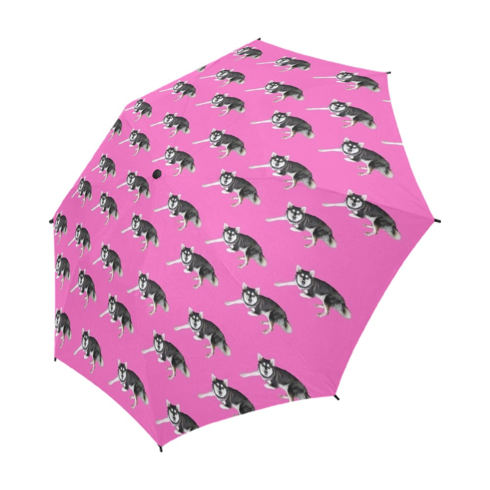Alaskan Klee Umbrella - Pink