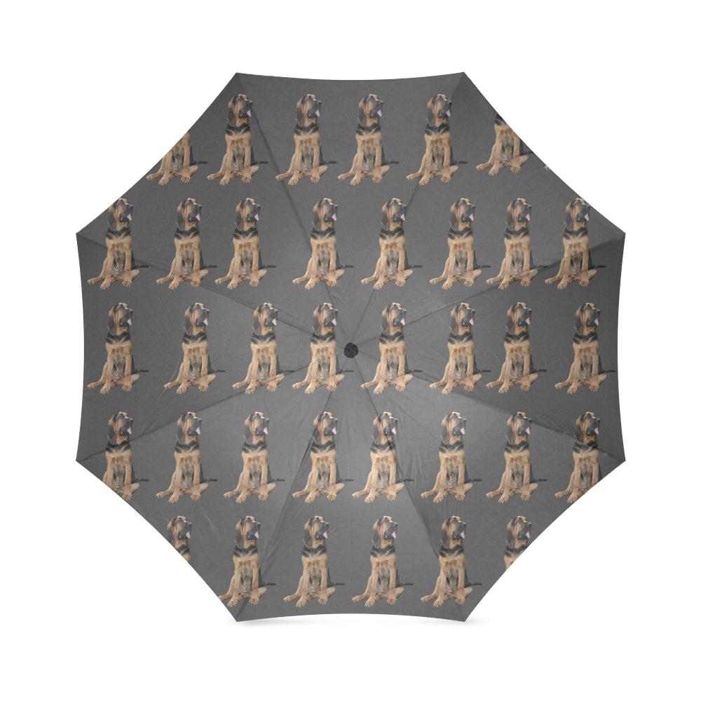 Bloodhound Umbrella