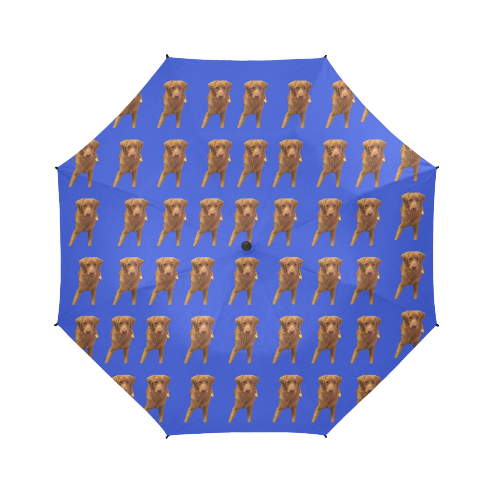 Kay's Dog Umbrella