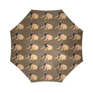 Bullmastiff Umbrella