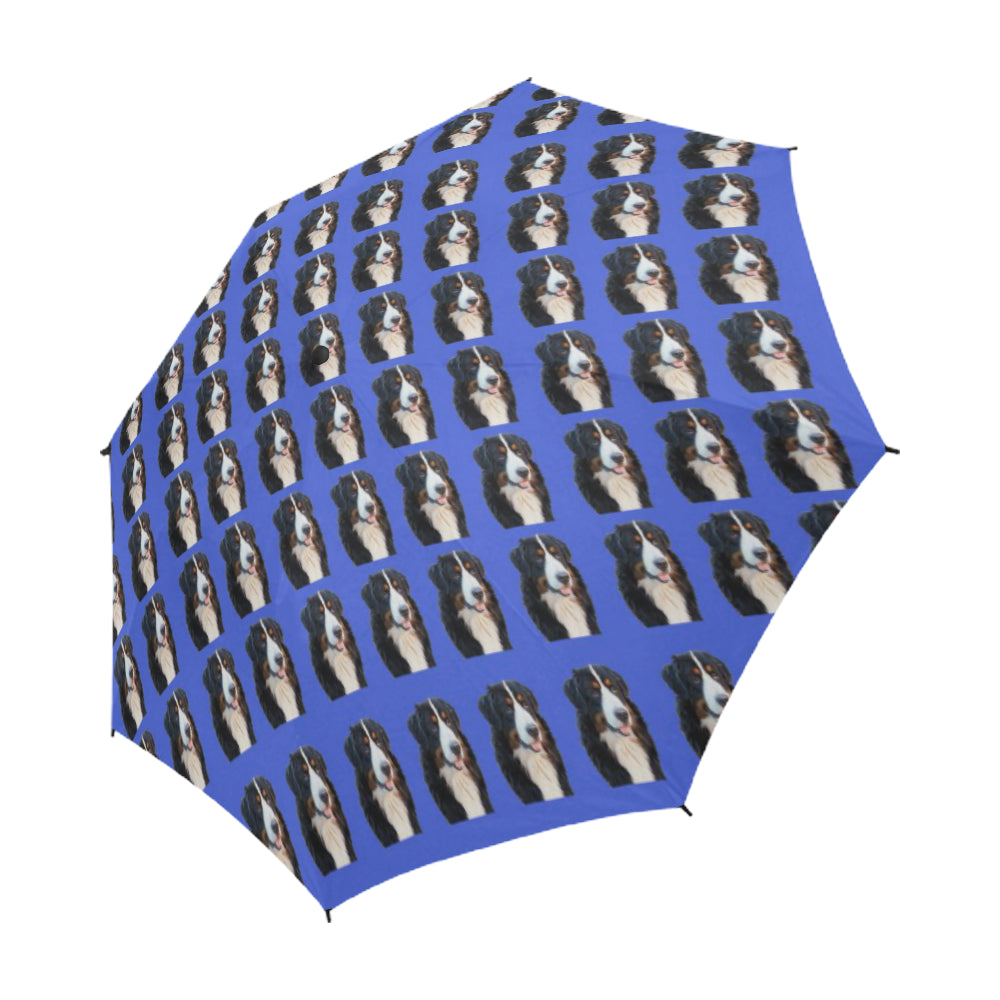 Bernese Mountain Dog Umbrella - Blue Semi Auto