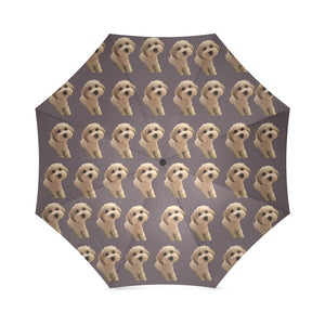 Shichon Umbrella