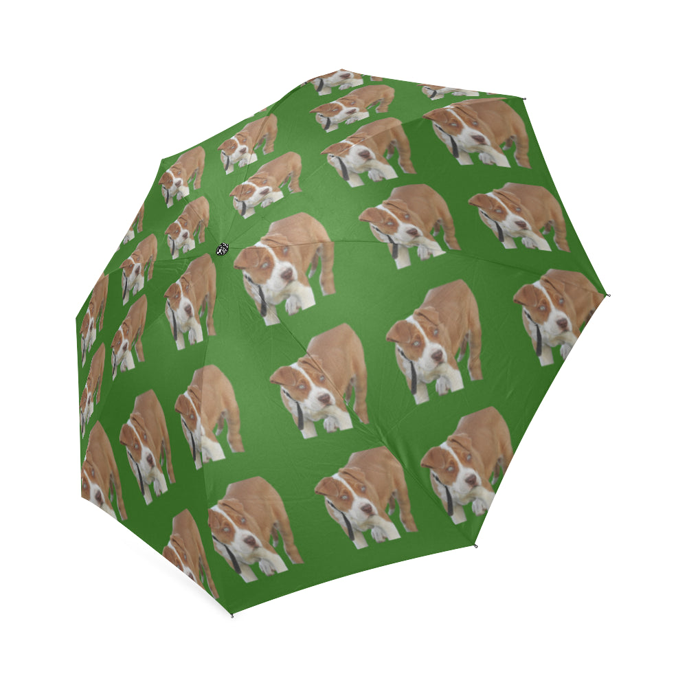 Pitbull Umbrella - Green