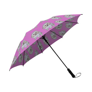 Cavachon Umbrella - Pink