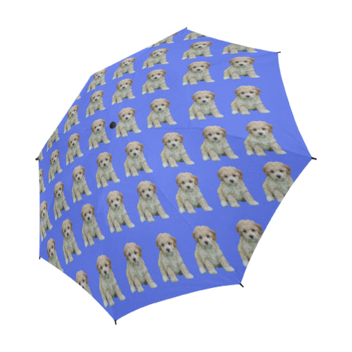 Toy Poodle Umbrella - Puppy